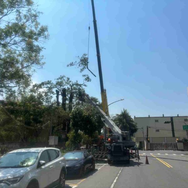 立足在擬物與扁平之間 - 相簿